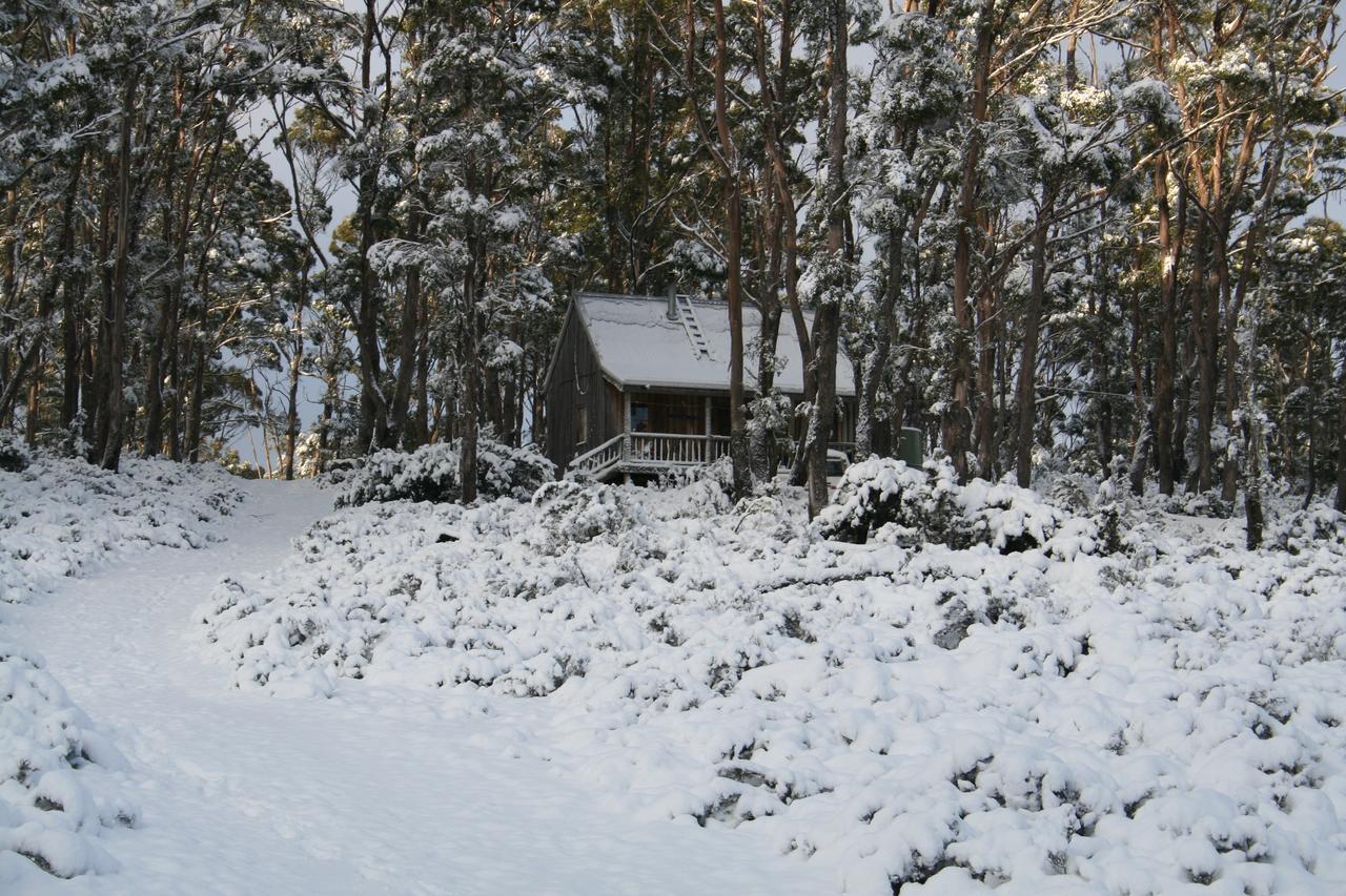 Wombat Cabin Villa Moina Exterior photo